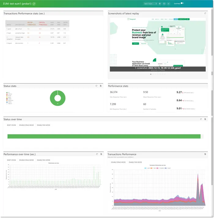 report overview